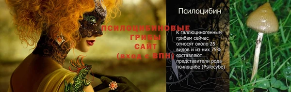 соль курить ск Михайлов